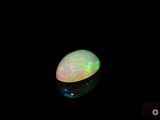 an oplite in the dark with a black background