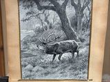 une photo d'un cerf debout dans les bois