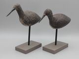 deux oiseaux qui se tiennent l'un à côté de l'autre