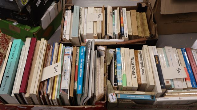 3 cartons : Lot de livres sur la littérature, cinéma, revues et d...