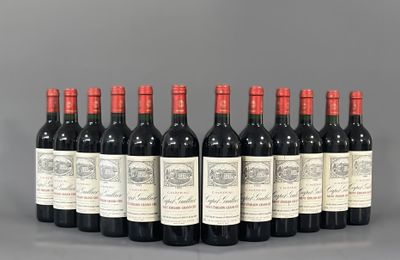 un lot de six bouteilles de vin rouge posées sur une table