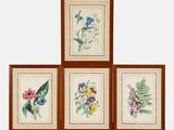 quatre photos encadrées représentant des fleurs et des feuilles sur fond blanc