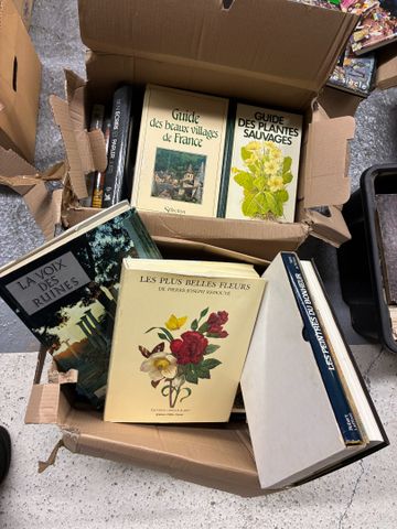 Lot de 4 cartons dont architecture, beaux livres de peintre, livr...