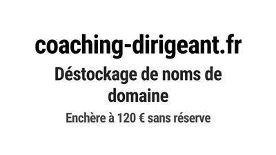 Nom de domaine coaching-dirigeant.