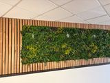 a picture of a living wall with plants growing on it