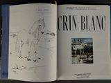an open book with a drawing of a horse on it