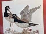 une photo représentant deux oiseaux posant dans un cadre