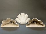 three seashells sitting on a table with a glass of wine