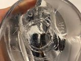 a person holding a glass object with a horse inside of it