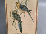 painting of two birds perched on a branch of a tree