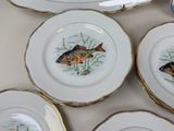 four plates with fish painted on them sitting on a table