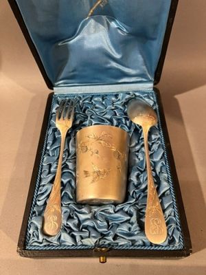 a silverware set in a blue box with a spoon and fork