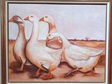 trois canards qui se tiennent les uns à côté des autres