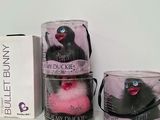 Photo 3/4 du lot
