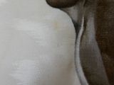 a painting of a dog that is sitting on a couch