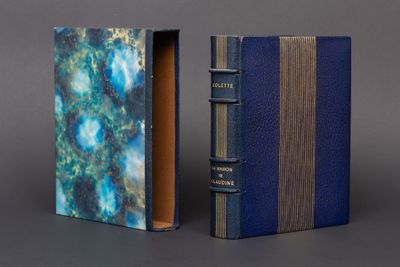 two books with blue covers are sitting side by side on a gray surface