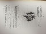 an open book with a drawing of a cat and a bird on it