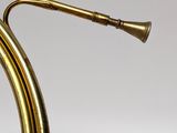 an image of a brass instrument with a long horn on a white background