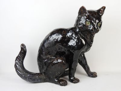 a black cat that is sitting on a white surface