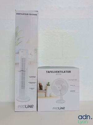 Lot de 2 ventilateurs - PROLINE - FT79M - DFP30 - Descellé -…