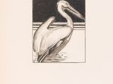 a drawing of a pelican standing in the water