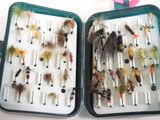 many different types of flies in this case