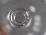 a close up view of a wine glass with a small amount of water in it