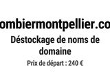 Photo 1/1 du lot
