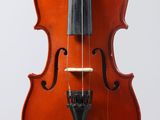a close up of a violin on a white background