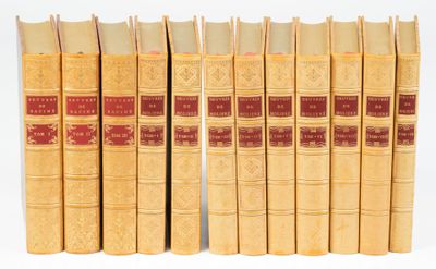les livres sont alignés sur une surface blanche