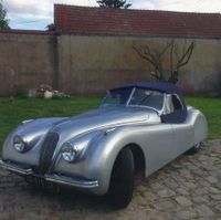 Jaguar (photo 6)