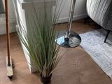 a plant that is sitting on the floor next to a chair