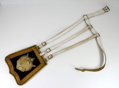 une ceinture sur laquelle figure un lion doré sur un fond blanc