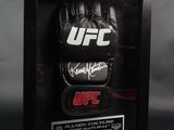a framed photo of a pair of boxing gloves on display