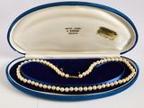 a pearl necklace in a blue case on a white surface