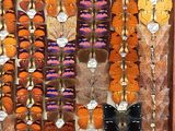 many different types of butterflies on display in a display case