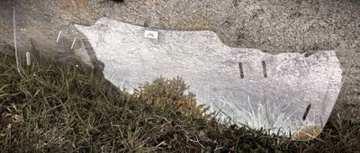 le reflet d'une personne dans un miroir posé dans l'herbe