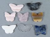 Plusieurs espèces différentes de papillons sont exposées sur une surface grise