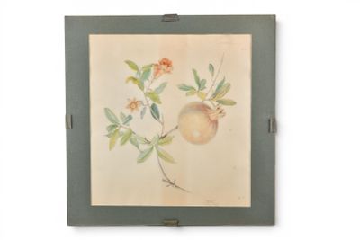 peinture représentant une grenade avec des feuilles et des fleurs sur fond blanc