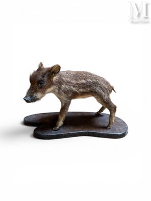 figurine of a wild boar on a wooden base