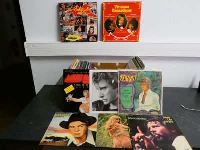 Environ quarante Vinyles 33 tours dont : Johnny Hallyday (x3…