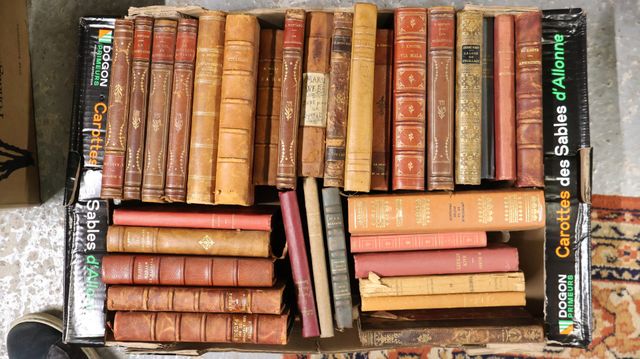 Carton de livres relies dont DAUDET, ROSTAND, LOUYS.