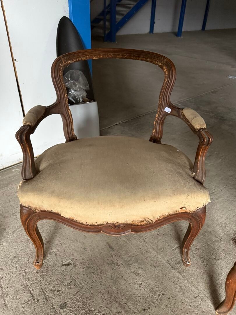 Objets d'art & Curiosités