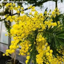 Destockage & Invendus