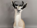 une tête d'antilope accrochée au mur d'une pièce