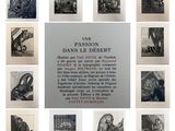 a picture of a series of pictures of cats in a cage