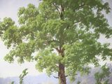 a picture of a painting of a tree in a field