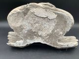 an image of a stone sculpture of a frog