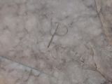 a close up of a white elephant statue on the ground