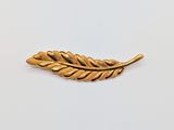 a gold leaf broocht on a white background